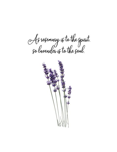 Lavender Sayings Quotes, Rosemary Quotes, Lavender Quotes Aesthetic, Quotes About Lavender, Herb Quotes, Quotes Lavender, Lavender Quotes, Paper Boat Memories, Herbal Business