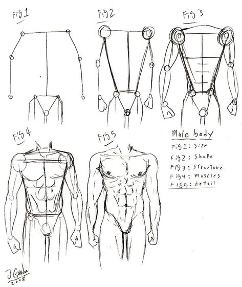 Body Tut, Drawing Tut, Male Body Drawing, Human Body Drawing, Body Tutorial, Drawing Body Poses, Siluete Umane, Human Anatomy Drawing, Body Sketches