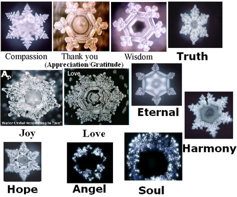 The Physical Effects of Prayer (Transformation of Patterns)..., page 1                                                                                                                                                                                 More Dr Emoto, Masaru Emoto Water, Snowflake Tattoos, Water Crystals, Science Tattoo, Masaru Emoto, Water Experiments, Water Molecule, Cleansing Crystals