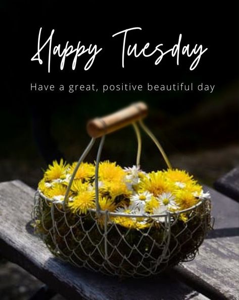 Tuesday Quotes Funny, Happy Tuesday Pictures, Happy Tuesday Images, Tuesday Pictures, Happy Tuesday Morning, Tuesday Images, Tuesday Greetings, Tuesday Blessings, Week Quotes