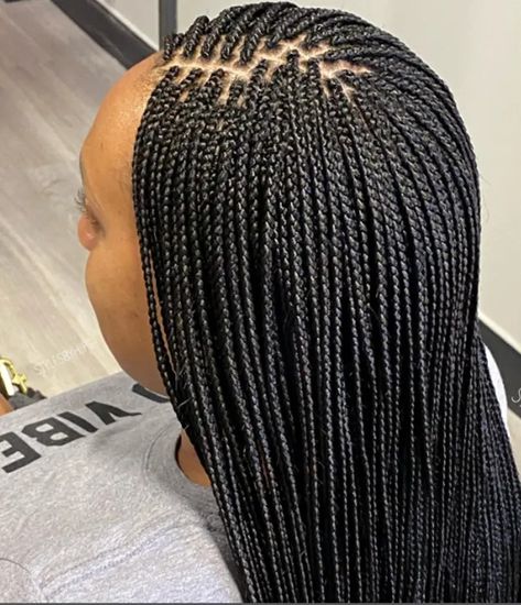 Micro Braids Human Hair, Braided Ponytail Black Hair, Micro Box Braids, Black Braided Updo, Small Box Braids Hairstyles, 3 Braids, Latest Braided Hairstyles, Micro Braids Hairstyles, Hairstyles Color