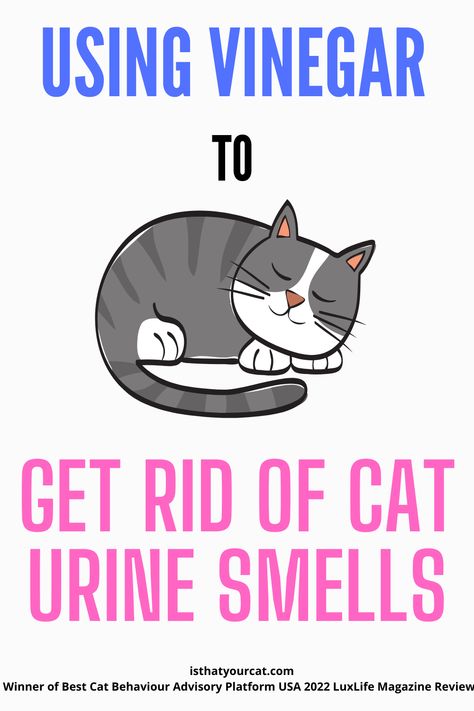 Cat Urine Smell Remover Odor Eliminator, Remove Cat Urine Smell From Carpet, Diy Cat Urine Odor Remover, How To Get Cat Pee Smell Out Of Wood, Neutralize Cat Urine Odor, Cat Odor Eliminator Diy, Cat Spray Smell How To Remove, Get Rid Of Cat Urine Smell, How To Get Rid Of Cat Urine Smell