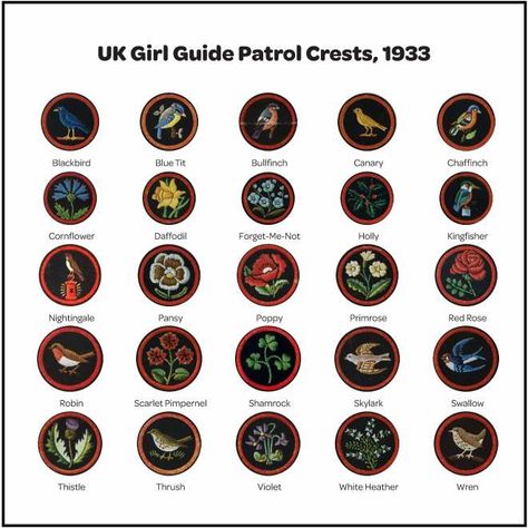 A Brief History of Troop Crests - Girl Scout History Project Girl Scouts History, English Girls, History Project, Girl Scout Troop, History Projects, Blue Books, Girl Guides, Black Felt, Girl Scout