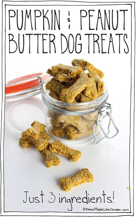 Pumpkin Peanut Butter Dog Treats, Sweet Potato Dog Chews, Vegan Dog Treats, Pumpkin Peanut Butter, Homemade Dog Cookies, Easy Dog Treat Recipes, Dog Biscuit Recipes, Easy Dog Treats, Healthy Dog Treats Homemade