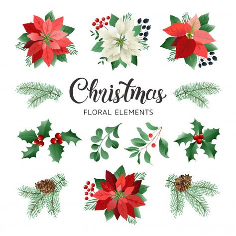 Poinsettia flowers and christmas floral ... | Premium Vector #Freepik #vector Christmas Graphic Design, Rose Gold Texture, Poinsettia Flowers, Watercolor Christmas Cards, Christmas Graphics, Poinsettia Flower, Album Scrapbooking, Christmas Inspo, Floral Elements