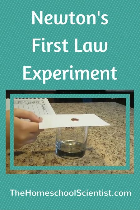 Don't be intimidated by scientific laws. They are simple rules that tell how the universe works. This Newton's first law of motion experiment shows just how simple. Newtons First Law, Physical Science Experiments, Physical Science Activities, Sixth Grade Science, Newtons Laws Of Motion, Fourth Grade Science, How The Universe Works, Physics Experiments, Newtons Laws