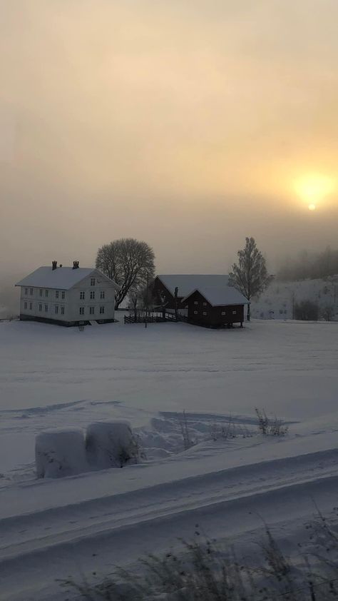 On a train heading towards Oslo, Norway 📷: Vivi Cecilie Skår Norway Wallpaper, Train Window, View From My Window, American Flag Wallpaper, Introduce Myself, Oslo Norway, Homescreen Wallpaper, The Train, A Train