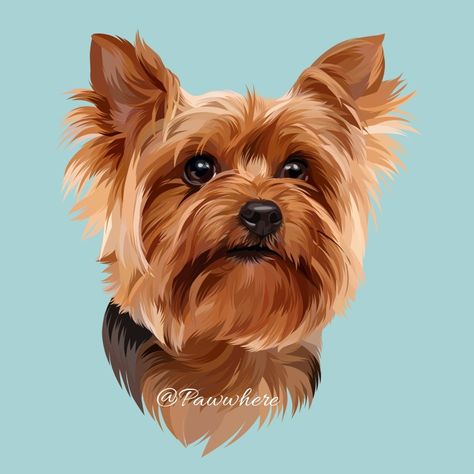 Yorkie Illustration, Yorkie Painting, Yorkie Art, York Dog, Dog Design Art, Pusheen Cute, Stone Art Painting, Puppy Art, Animal Portraits Art