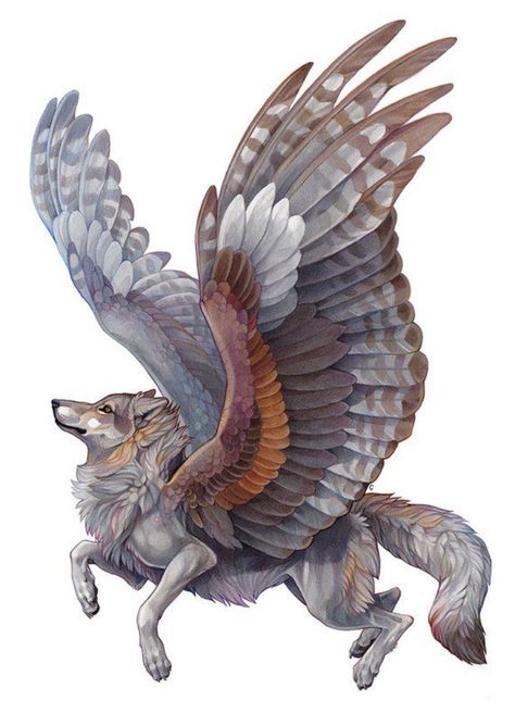 *not my art* I just found it online and thought it needed to be posted Flying Wolf, Wolf With Wings, Winged Wolf, Anime Wolf Drawing, Wolf Illustration, Wolf Artwork, Fantasy Wolf, Wolf Spirit Animal, Mythical Animal