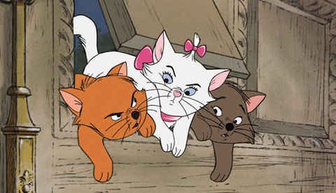 Marie, Toulouse and Berlioz - The Aristocats | 15 Greatest Disney Cats Disney Amor, Animation Disney, Disney Cats, Watership Down, The Aristocats, Film Disney, Three Cats, Alley Cat, Pinturas Disney