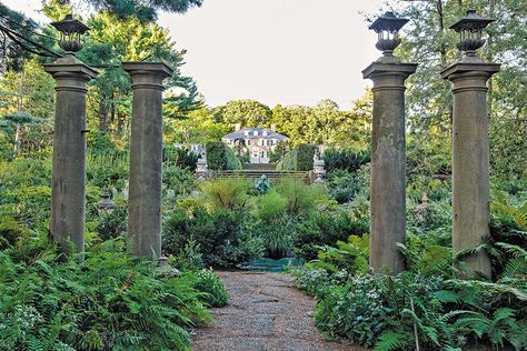 Landscape architect Ronad van der Hilst composes a musically inspired garden in the Dutch countrysideDiscover eight beautiful landscapes that continue to influence modern garden designTour eight amazing public spaces transformed by Bette Midler’s New York Restoration Project13 stunning garden allées Waterwise Garden, Green Jersey, Most Beautiful Gardens, Garden Park, Better Homes And Garden, Christmas Garden, White Gardens, Garden Photos, Landscape Architect