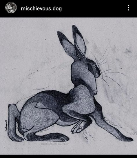 Hare Drawing, Hare Illustration, Hare Rabbit, Dog Instagram, Rabbit Drawing, Nature And Animals, Instagram Visual, Bunny Drawing, Art Student