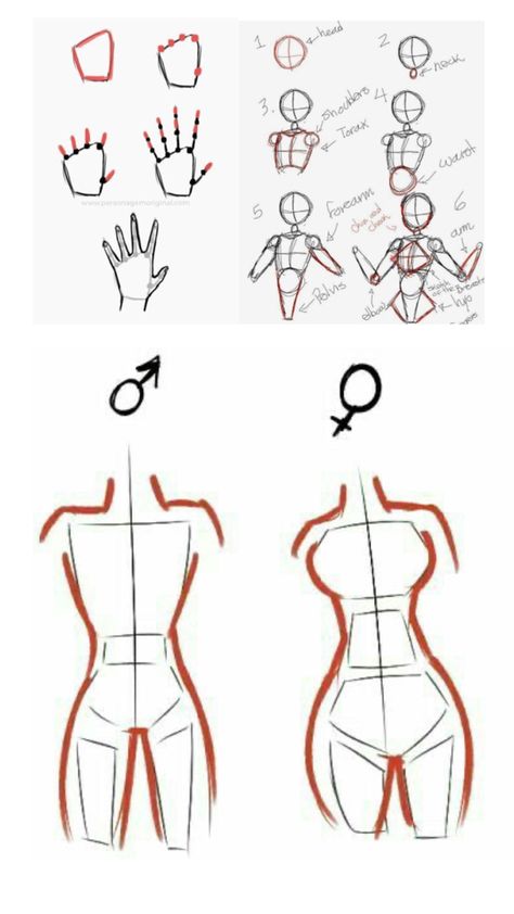 Illustrator Design Tutorial, Body Drawing Tutorial, Anime Body Drawing, Easy Doodle Art, Body Drawing, Art Base, Anatomy Art, Art Poses, Simple Doodles