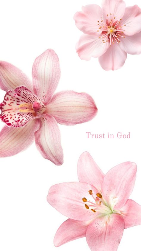 Christian Iphone Wallpaper, Pretty Wallpaper Ipad, Wallpaper Bible, Christian Quotes Wallpaper, Cute Summer Wallpapers, Bible Quotes Wallpaper, Wallpaper Flowers, Verses Wallpaper, Wallpaper Nature Flowers