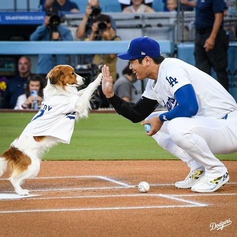 Dodgers Nation, Latina Aesthetic, Dodgers Girl, Dodgers Fan, Dodger Blue, Man Crush Monday, Dodger Stadium, Dodgers Baseball, Mlb Players