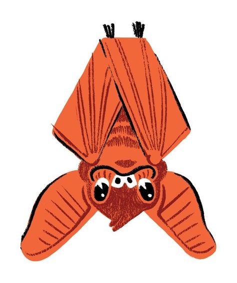 Cute Bat Art, Brad Woodard, Bat Illustration, Character Challenge, Cartoon Bat, Bat Art, Posca Art, Halloween Illustration, Halloween Drawings