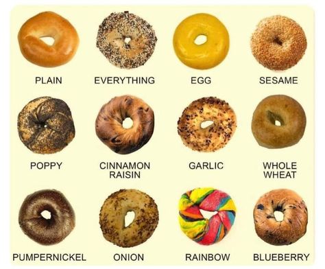 Rye Bagels, Types Of Bagels, Onion Bagel, Sesame Bagel, Whole Wheat Bagel, Blueberry Bagel, Cinnamon Raisin Bagel, Bagel Toppings, Plain Bagel