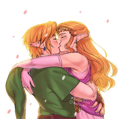 Zelda Funny, Zelda Twilight Princess, Majoras Mask, Link Zelda, Zelda Art, Ocarina Of Time, Twilight Princess, Fun Illustration, Breath Of The Wild