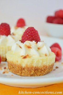 Pina Colada Mini Cheesecakes - Kitchen Concoctions Summer Cheesecake, Tropical Desserts, Mini Cheesecake Recipes, Dessert Bites, Bite Size Desserts, Gain Confidence, Homemade Whipped Cream, Cheesecake Bites, Tropical Drink