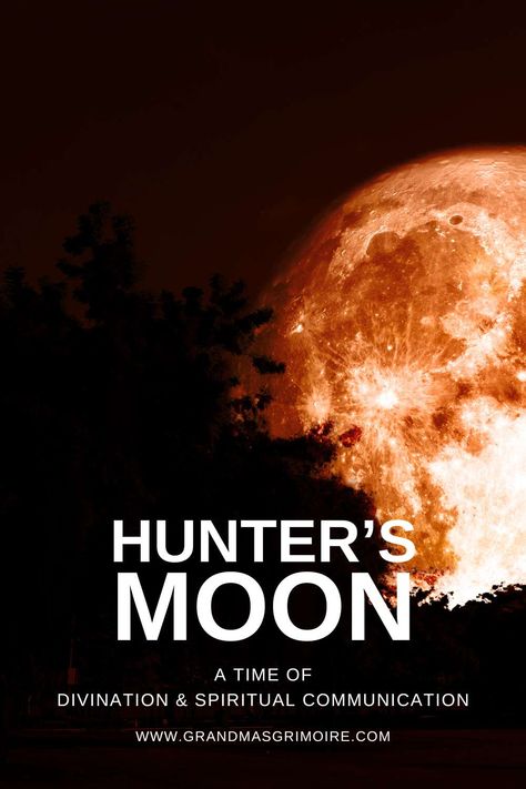 Hunter's Moon 2024 » Grandma's Grimoire Samhain Divination, Ancestral Veneration, Samhain Celebration, Hunter Moon, Hunters Moon, Spiritual Communication, Pagan Traditions, Next Full Moon, Full Moon Ritual