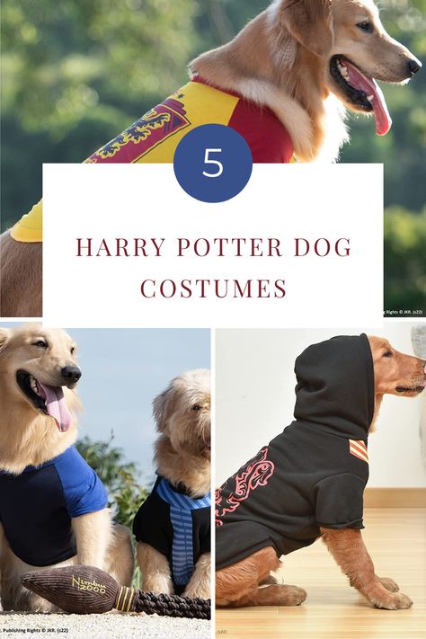 Have you ever wanted to transform your pup into a magical creature? Well, now you can with these five Harry Potter dog costumes! Transform your pet into a Hogwarts student or house elf, and they’ll be ready for their next adventure. Here are some of the most magical ways to dress up your pooch! Harry Potter Dog Costume, Harry Potter Dog, Hogwarts Student, House Elf, Magical Creature, Elf House, Dog Costumes, Dog Costume, Your Pet