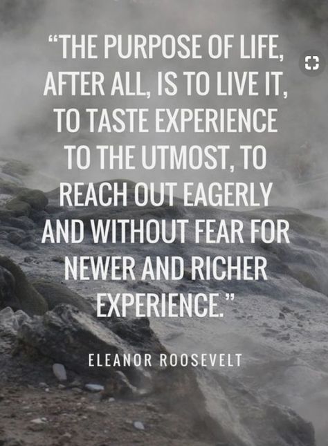 "The purpose of life, after all, is to live it, to taste experience to the utmost, to reach out eagerly and without fear for newer and richer experience."               ~ Eleanor Roosevelt Purpose Of Life, Best Travel Quotes, Travel Quotes Adventure, Thinking Quotes, Travel Quotes Inspirational, Life Quotes Love, Random Quotes, Life Thoughts, Adventure Quotes