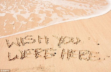 Another cheesy holiday snap: Writing 'wish you were here' or someone's name in the sand Holiday Snaps, Wish You Are Here, Santa Barbara, Motivational Quotes, The Incredibles, Writing, Quotes