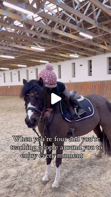 🐴 𝐄𝐪𝐮𝐞𝐬𝐭𝐫𝐢𝐚𝐧 𝐥𝐢𝐭𝐭𝐥𝐞 𝐬𝐢𝐬𝐭𝐞𝐫𝐬 🇨🇿 on Instagram: "Johy ❤️❤️❤️  . . .  #galusistersride #poweredbykingsland #kingslandequestrian #horse #pony #ponylove #friendship #friends #daughter #dreams #kids #passion #love #showjumping" Kids Riding Horses, Tennessee Walker Horse, Animal Behaviour, Funny Horse Videos, Funny Horse Pictures, Pony Rider, Best Video Ever, Cute Horse Pictures, Funny Horses