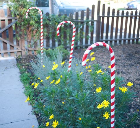 Want to decorate your driveway with big, big candy canes? They're easy to make and with a little work and spraypaint you'll have some large canes to turn your entrance ... Cane Decorations, Christmas Candy Cane Decorations, Outdoor Christmas Diy, Candy Cane Decorations, Pvc Pipe Crafts, Easy Holidays Crafts, Christmas Yard Decorations, Christmas Decorations Diy Outdoor, Christmas Yard