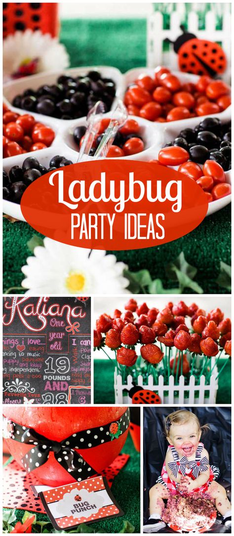 Wow, such a terrific lady bug party! It has a red and black color scheme and an outdoor setting. See more party planning ideas at CatchMyParty.com! Ladybug Birthday Party Ideas, Gracie Birthday, Miraculous Ladybug Party, Ladybug Baby Shower, Bug Party, Ladybug Birthday Party, Ladybug Theme, Parties Ideas