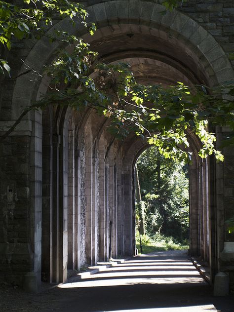 Dark Academia Aesthetic, Pretty Places, Narnia, Central Park, New Yorker, In The Middle, Places To See, The Middle, Hogwarts