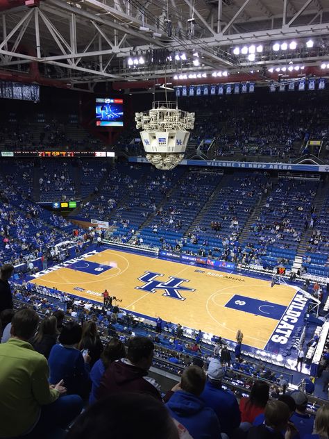 Rupp Arena- Home of the Wildcats Rupp Arena, Wild Cats, Basketball Court, Quick Saves