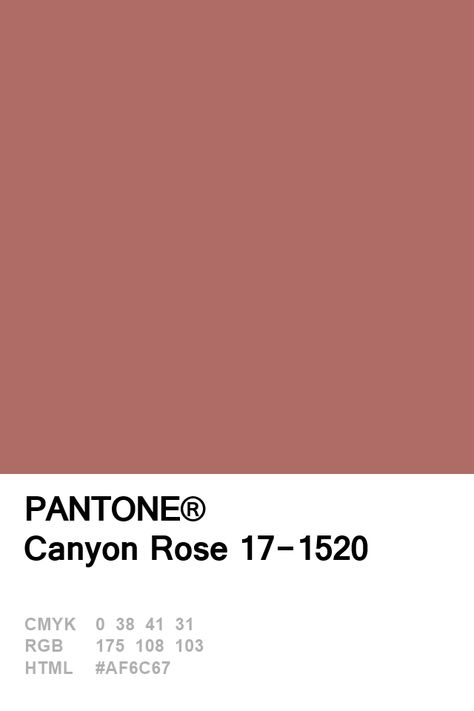 Pantone Canyon Rose 17-1520 Colour of The Day 08 January Color Palette Pantone, Rose Color Palette, Canyon Rose, Deco Pastel, Pantone Swatches, Pantone Palette, Color Pantone, Pantone Colour Palettes, Color Of The Day