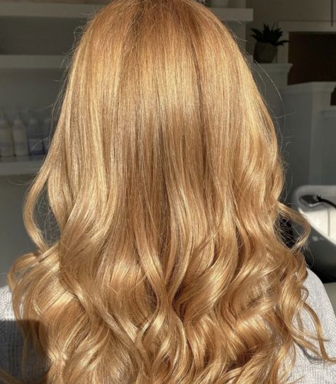 Balayage For Brunettes, Warm Golden Blonde Hair, Hair For Special Occasions, Beautiful Hair Color Ideas, Gold Blonde Hair, Golden Hair Color, Blonde Hair Tips, Different Hair Lengths, Hair Tips And Tricks