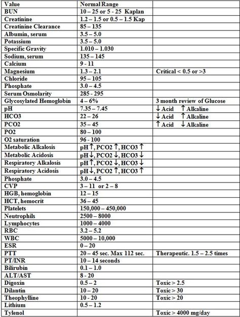 Normal Laboratory Values for NCLEX Review | NCLEX Online Nursing Labs, Nursing Information, Nursing Cheat, Medical Lab, Nursing Mnemonics, Lab Values, Nursing School Survival, Nursing School Studying, Nursing School Tips