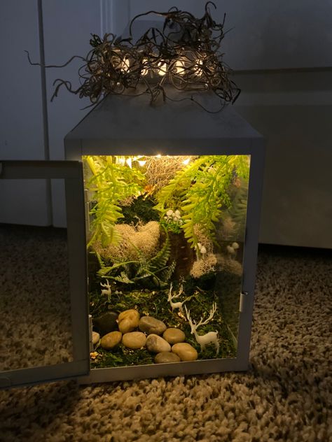 Enchanted Forest Terrarium, Woodland Shadow Box Ideas, Forest Shadow Box Ideas, Terrarium With Fairy Lights, Enchanted Forest Diorama, Enchanted Terrarium, Woodland Lantern, Folklore Wedding, Enchanted Prom