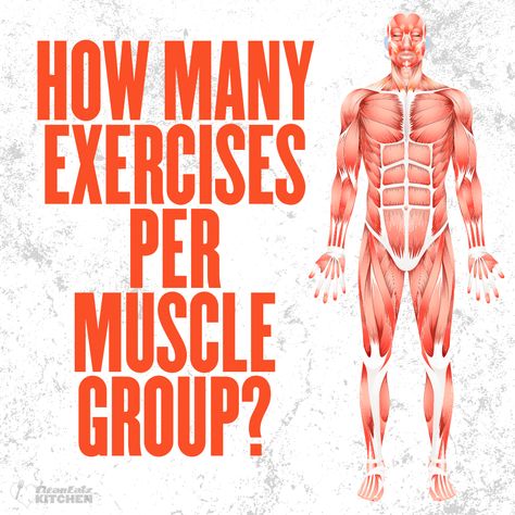 Exercises For Each Muscle Group, Muscle Group Workout Schedule, Arm Muscle Groups, Muscle Group Workout, Muscle Groups To Workout, Workout Planning, Group Workout, Invest In Your Health, Get Shredded