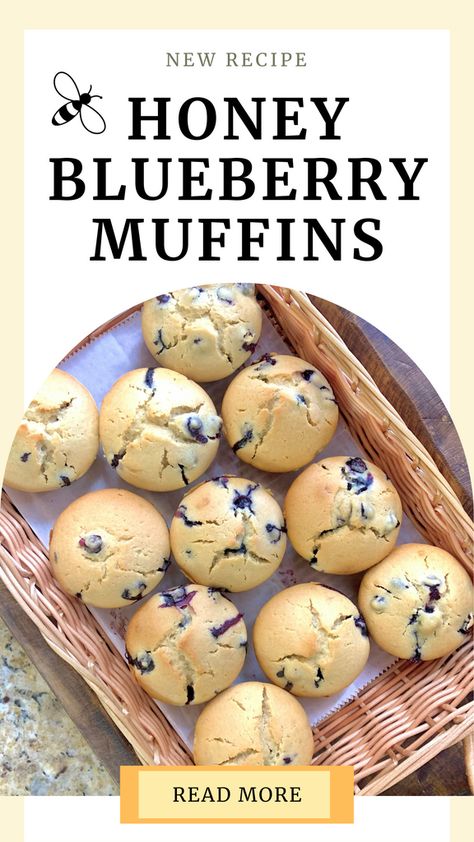 Blueberry Muffins With Honey, Honey Muffins, Honey Wheat, Muffin Recipes Blueberry, Blueberry Bushes, Oatmeal Muffins, Blueberry Muffin, Honey Oatmeal, Honey Recipes