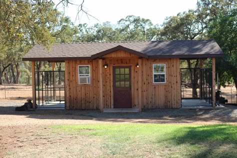 Dog Shed Ideas, Outside Dog Kennel Ideas, Dog Shelter Ideas, Outside Dog Kennel, Dog Kennel Ideas Outdoor, Kennel Design, Dog Facility, Diy Dog Run, Dog Boarding Ideas