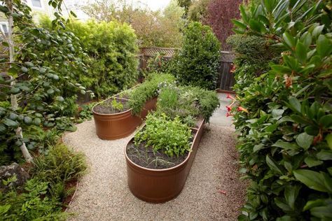 Water troughs painted a metallic coppery color and used as raised beds in a kitchen garden l Gardenista Raised Veggie Gardens, Garden Potager, Garden Troughs, Vegetable Garden Raised Beds, Water Trough, Diy Raised Garden, Raised Garden Beds Diy, Garden Designer, Raised Planter