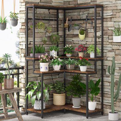 This newly designed corner plant stand with multi-tier storage shelves provides ample storage space for your potted plants or flowers. Ladder design helps to ensure the growth space upward, and without shelter from each other. The corner structure makes the most use of the corner space. Fifteen S-shaped hanging hooks are added for small potted plants or gardening tools, keeping your planting world well organized. | 17 Stories Triangular Corner Plant Stand Wood / Metal in Brown | 67 H x 35.4 W x Corner Plant Stand, Tall Indoor Plants, Ladder Design, Corner Plant, Support Pour Plante, Planting Tools, Smart Organization, Support Plante, Wood Plant Stand