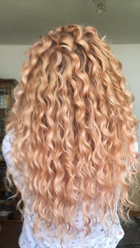 Strawberry Blonde Hair Color Curly, Light Strawberry Blonde Curly Hair, Strawberry Blonde Curly Hair Highlights, Copper Blonde Curly Hair, Blonde Hair Perm, Blonde Curls Natural, Curly Strawberry Blonde Hair, Strawberry Blonde Curls, Light Perm