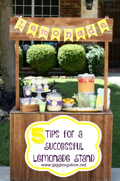 5 Tips for a Successful Lemonade Stand! #lemonadestand #diy #summer Kids Lemonade Stands, Diy Lemonade Stand, Kids Lemonade, Diy Lemonade, Best Lemonade, Summer Lemonade, Lemonade Party, Lemonade Recipes, Lou Lou