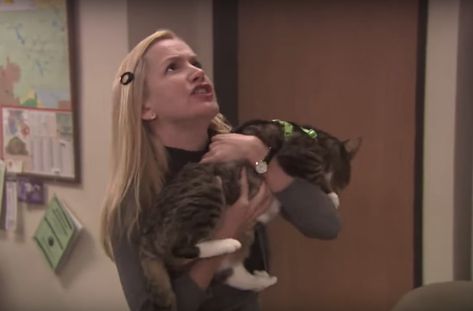 Angela from The Office - Save Bandit! Angela The Office, Office Cat, The Office Show, Office Inspo, The Office, Film, Frame, Quick Saves