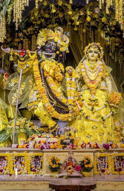 Akhanda Bharat, Iskcon Mayapur, Krishna Birth, Krishna Birthday, Shree Radha, Radha Krishna Holi, Iskcon Krishna, Shri Hari, Radhe Krishna Wallpapers