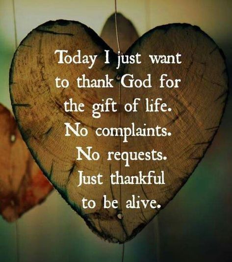 Today I just want to thank God for the gift of life.  No complaints. No requests. Just thankful to be alive. #KWMinistries Wonderful Day Quotes, Grateful Quotes, Thankful Quotes, Thankful Heart, Thank You God, Morning Motivation, Heart Quotes, Quotes About God, Thank God