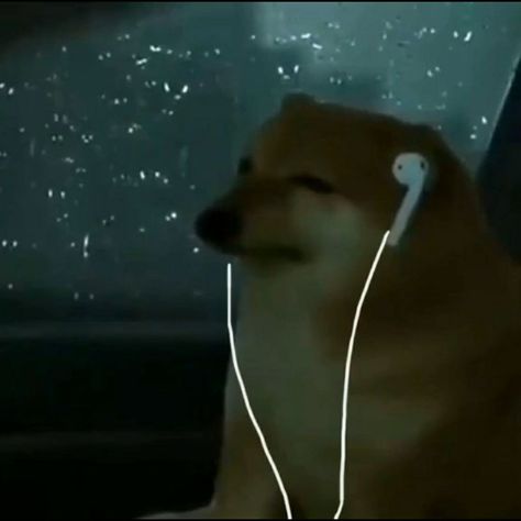 Listening To Music Reaction Pic, Listen To Music Meme, Funny Snapchat Stories, Spongebob Cartoon, Funny Stick Figures, Doge Meme, Funny Stickman, Bff Quotes Funny, Silly Cats Pictures