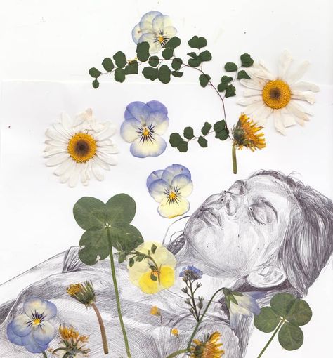 Neva Hosking on Instagram: “Pansies Izzy and Rachel grew, daisies from the flower market, Four leafs Daisy found, maidenhair from the greenhouse 🌼 ( And drawing from…” The Flower Market, The Greenhouse, Pressed Flower Art, Arte Inspo, Ap Art, Inspirational Art, Pics Art, Flower Market, Art Portfolio