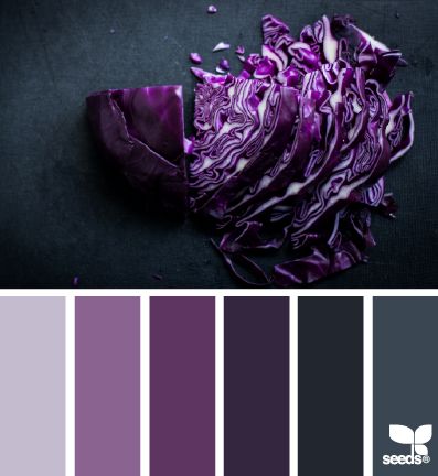 Chopped hues..hmmmm   DAJA https://es.pinterest.com/danijavor/ Black Color Combination, Brown Color Schemes, Purple Color Palettes, Dress Colors, Purple Design, Design Seeds, Colour Schemes, Color Pallets, Color Swatches