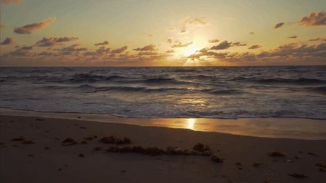 Half Basketball Court, Euphoria Season 1, Brother Sister Photos, Ocean Boulevard, Family Compound, Angel Wings Art, Gulf Stream, Sister Photos, Wings Art